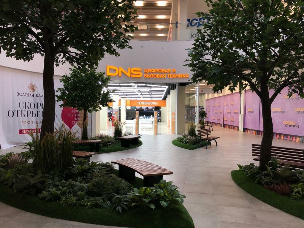 DNS | Москва, Олимпийская ул., 6, корп. 1, Видное